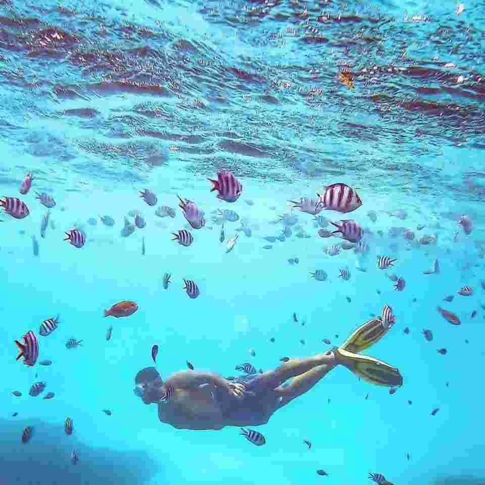 Snorkeling